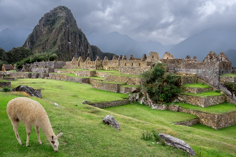 Machu Picchu